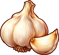 Garlic