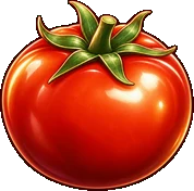 Tomato